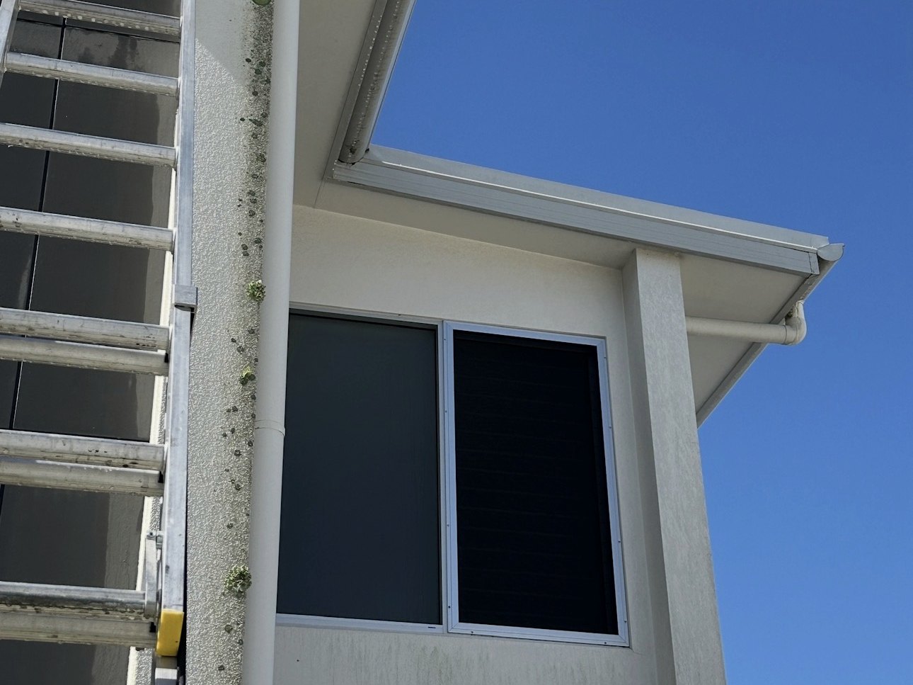 Eudlo rainforest-pocket render soft-wash in Eudlo — before restoration